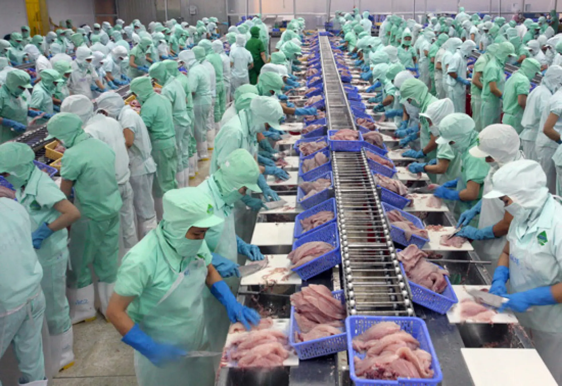 Tuyển 6 nam làm thực phẩm tại Đài Bắc