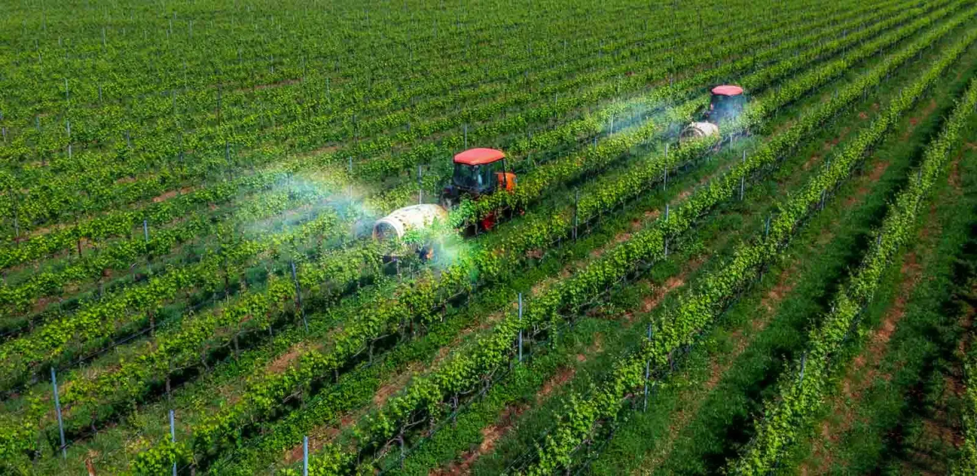 Tuyển 1 Nam làm nông nghiệp