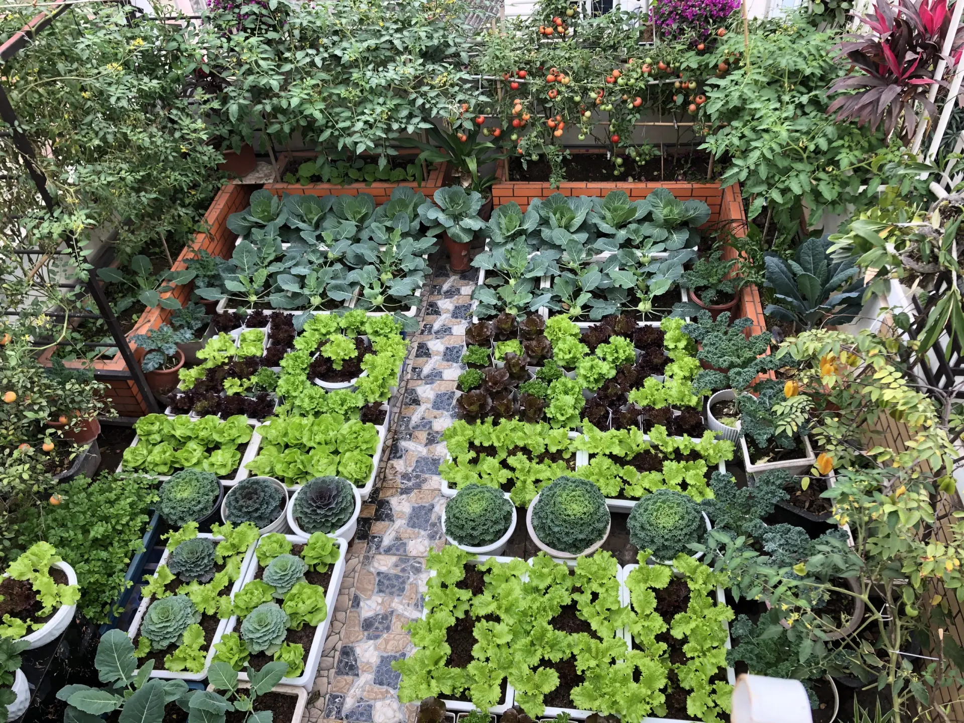 Tuyển 4 Nam làm vườn và thợ mộc