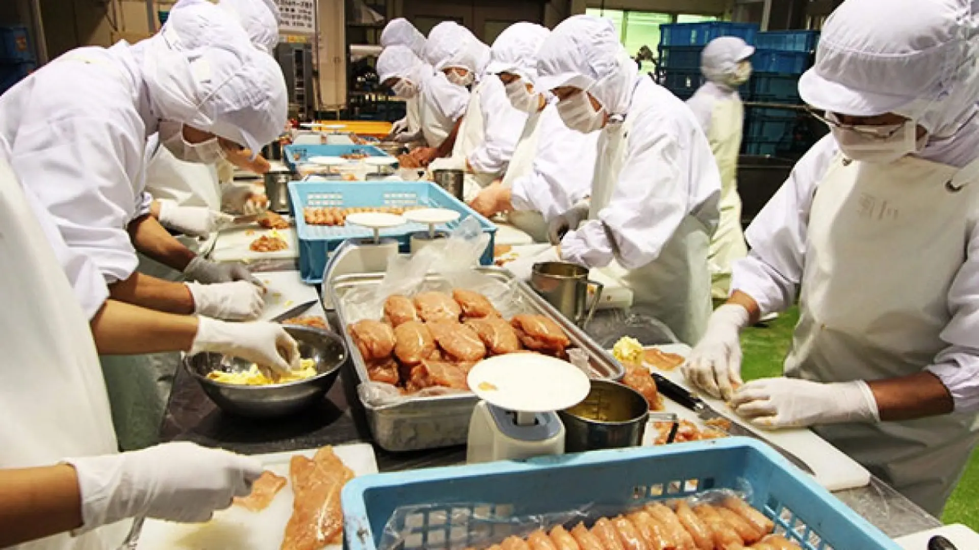 Tuyển 6 Nam chế biến thực phẩm
