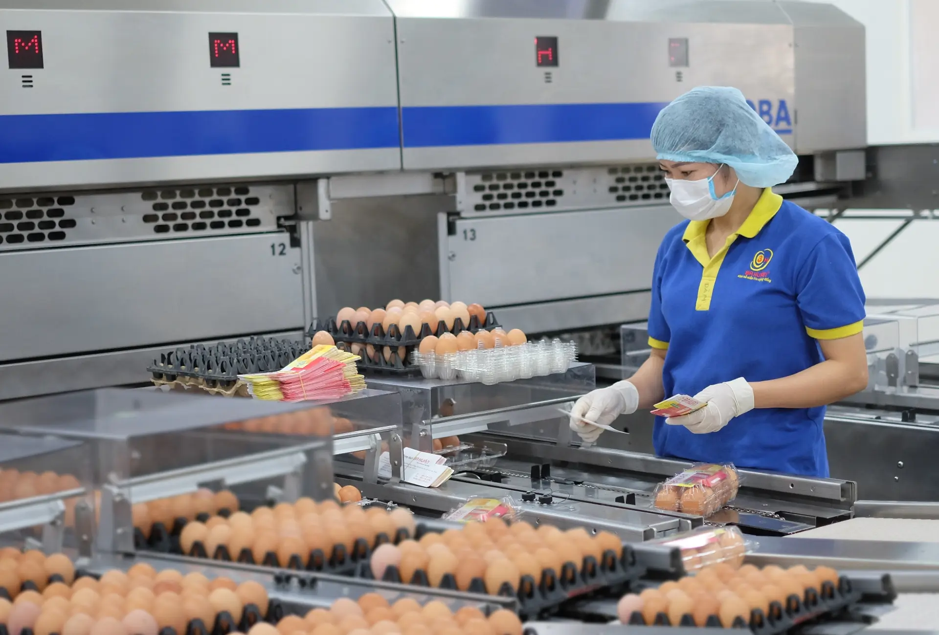 Tuyển 8 Nữ sản xuất thực phẩm