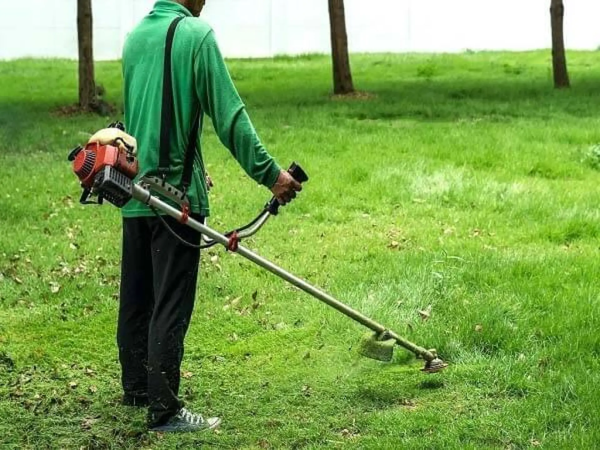Tuyển 1 Nam lắp ráp máy cắt cỏ