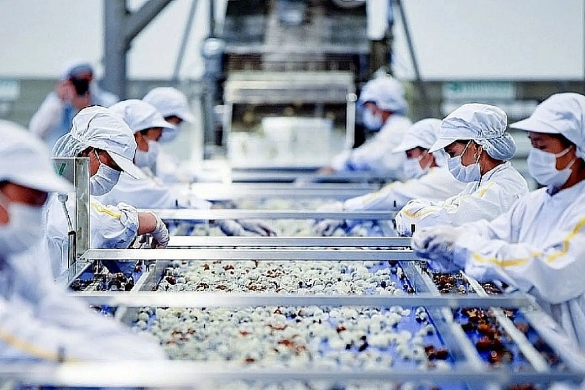 Tuyển 2 Nữ sản xuất thực phẩm