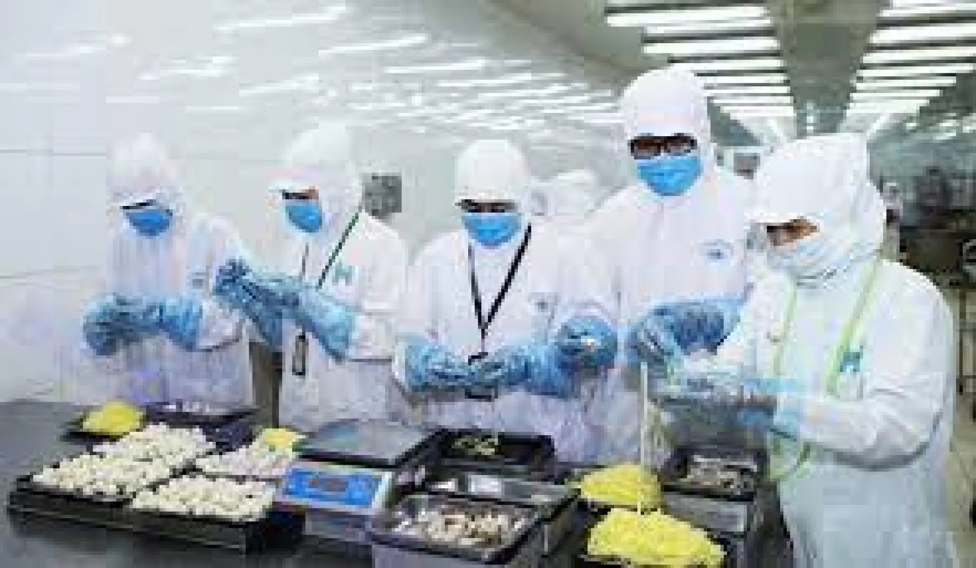 Tuyển 19 nữ làm thực phẩm đông lạnh tại NM Thái Sư Phụ