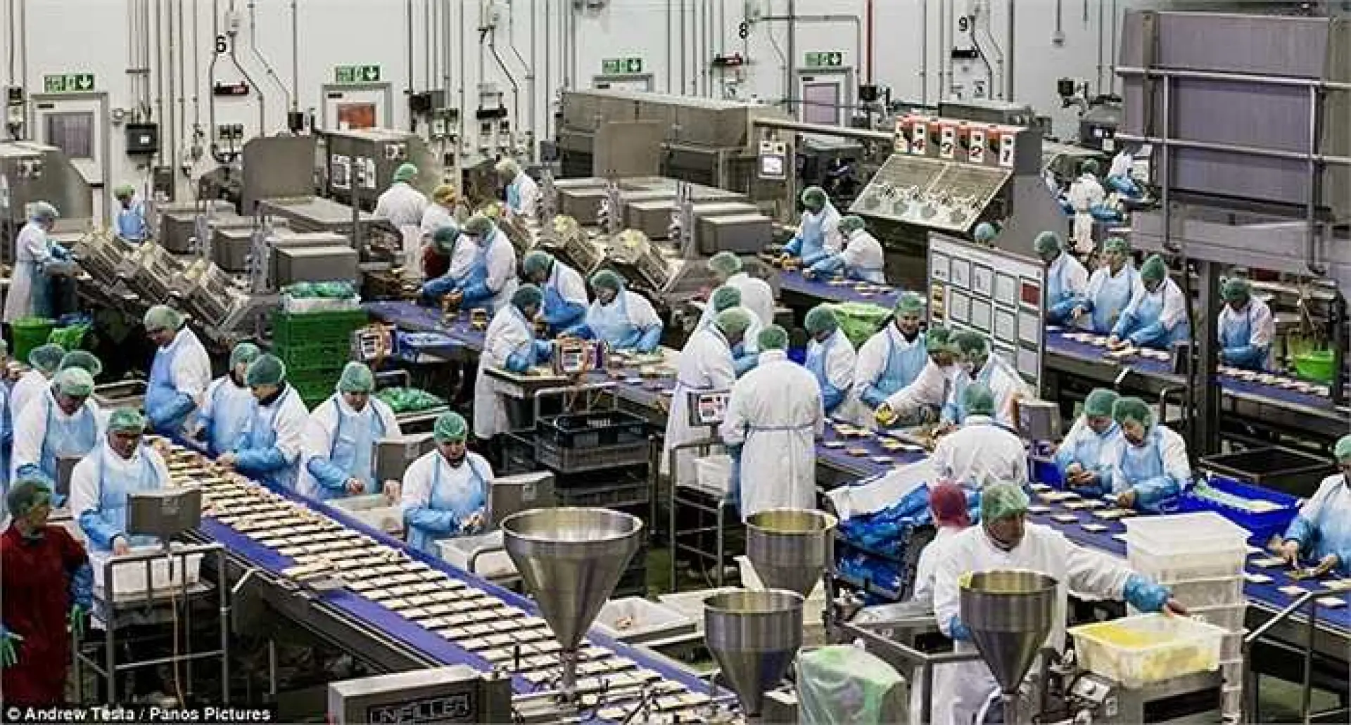 Tuyển 03 nam sản xuất dầu ăn, ngũ cốc tại NM Phúc Mậu