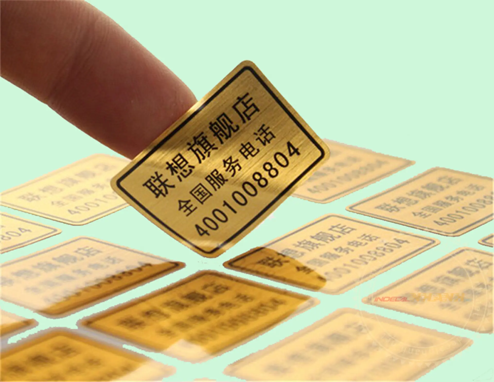 Tuyển 7 Nam mạ vàng, bạc tem nhãn