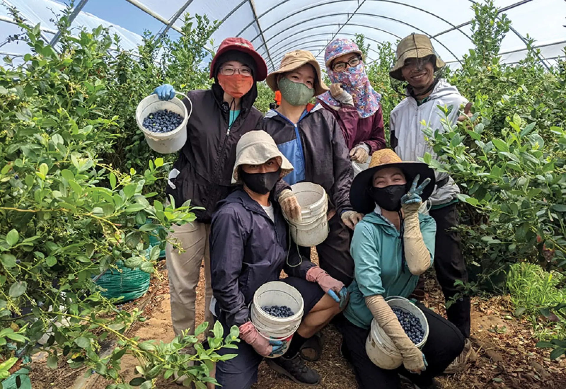 Tuyển 4 người làm nông nghiệp
