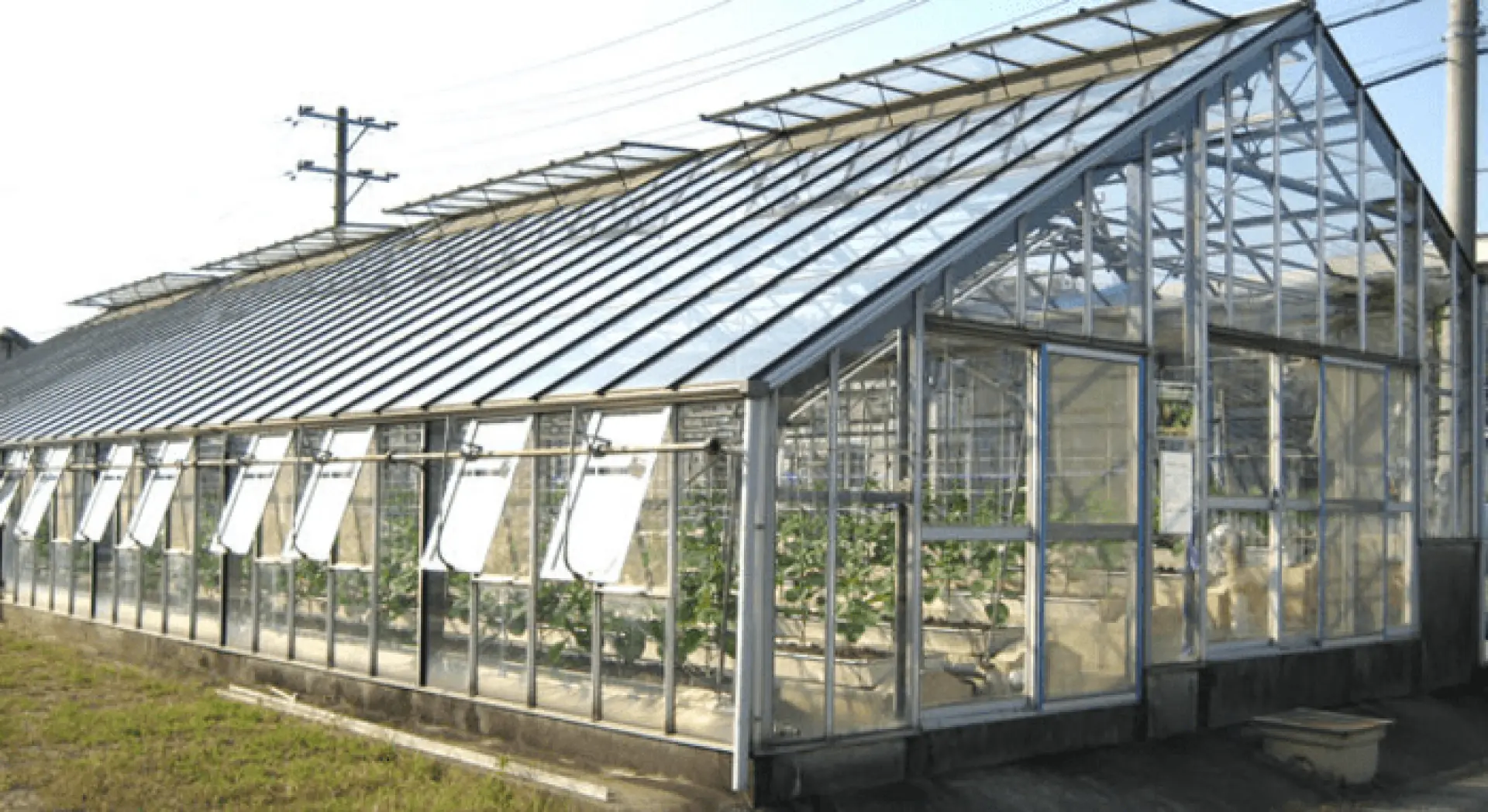 Tuyển 2 Nam thi công nhà kính trồng rau