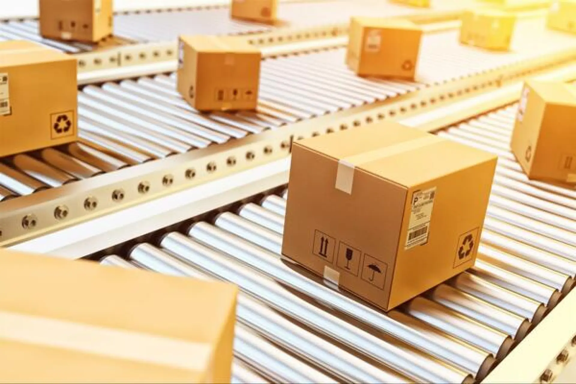 Tuyển 2 Người phân loại đóng gói vận chuyển