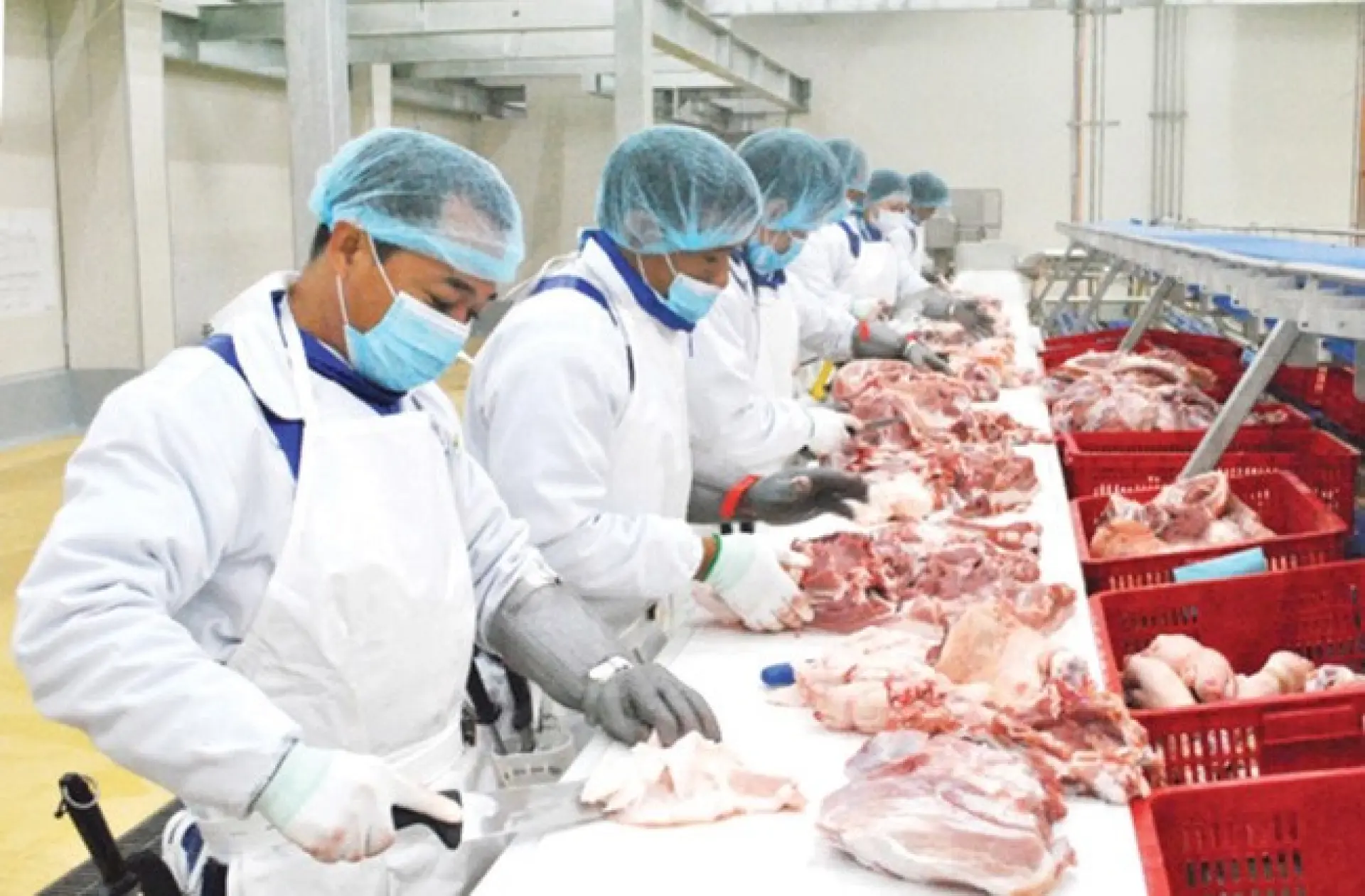 Tuyển 1 Nam sản xuất thịt đóng gói vận chuyển