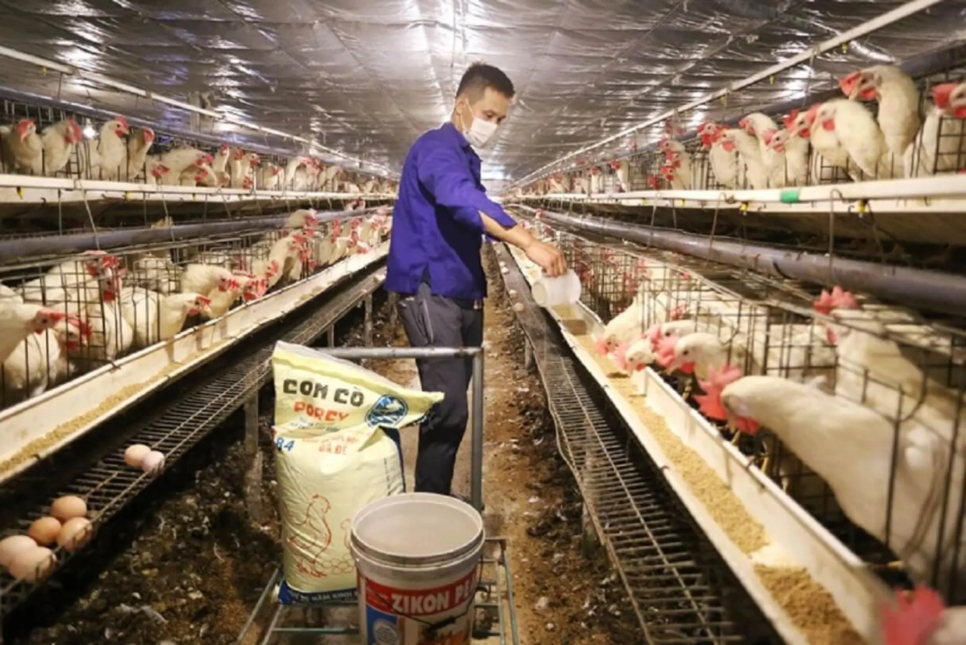 Tuyển 2 nam sang làm sản xuất thức ăn gia súc tại Cao Hùng