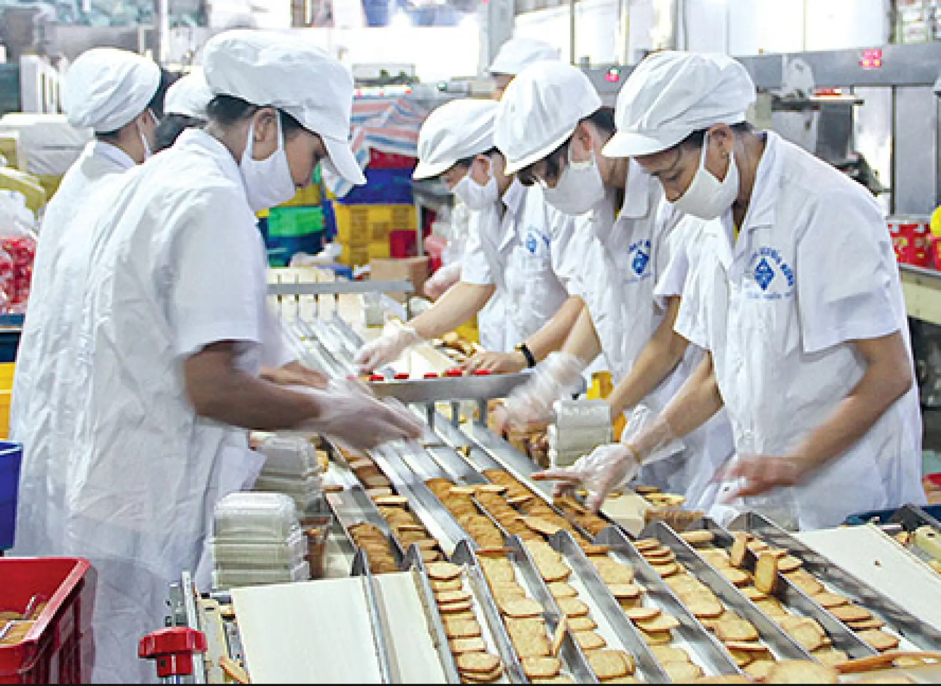 Tuyển 6 Nữ làm bánh