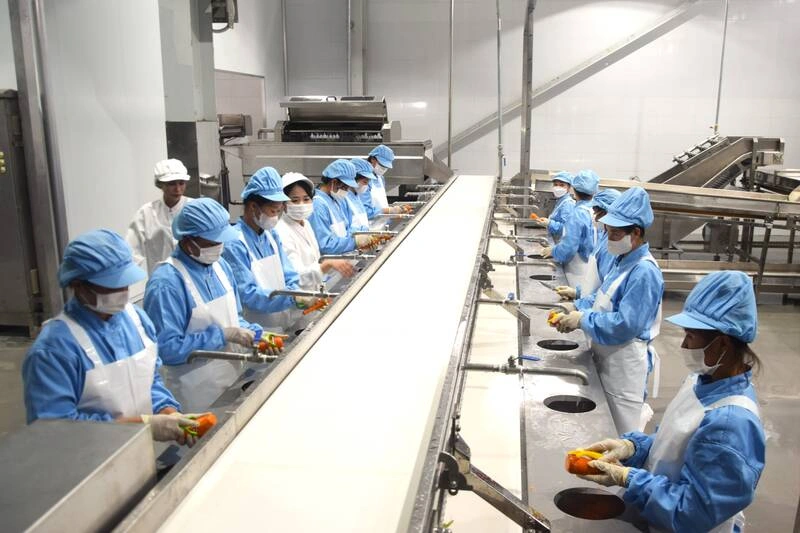 Cần 2 bạn nữ đi mới làm thực phẩm nấu lẩu tại Đài Trung