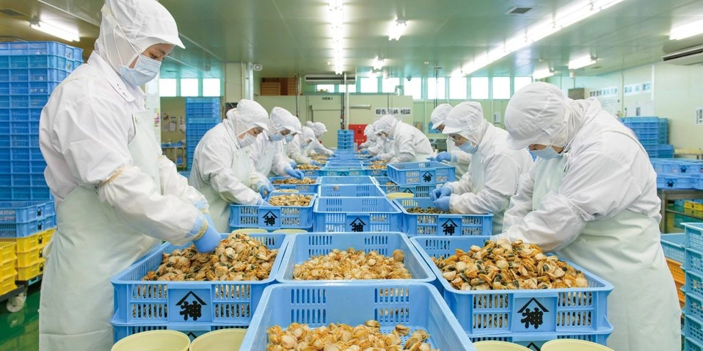 3 nữ thực phẩm làm việc tại nhà máy Vân Tước