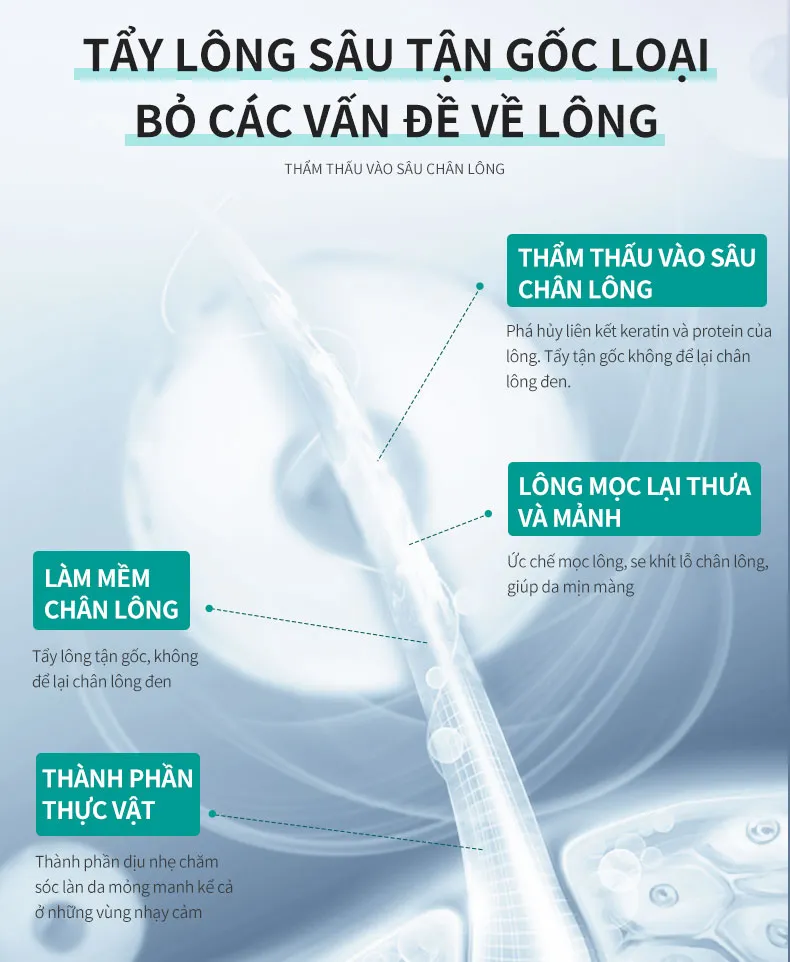 Ảnh thu nhỏ