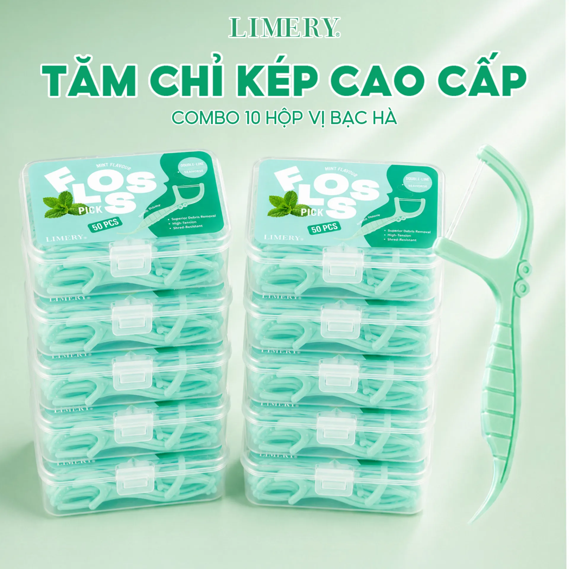 Tăm chỉ kép cao cấp combo 10 hộp vị bạc hà
