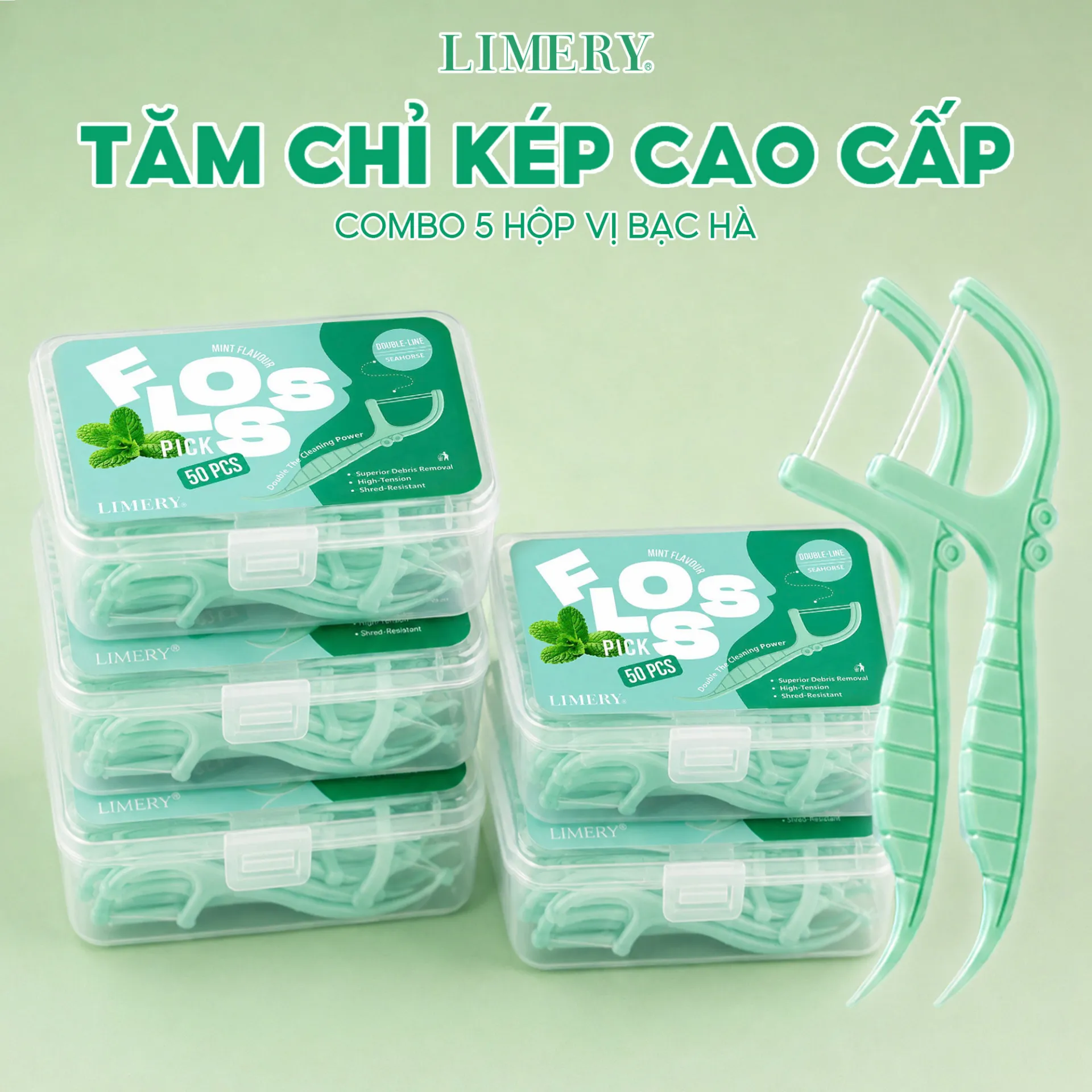 Tăm chỉ kép cao cấp combo 5 hộp vị bạc hà