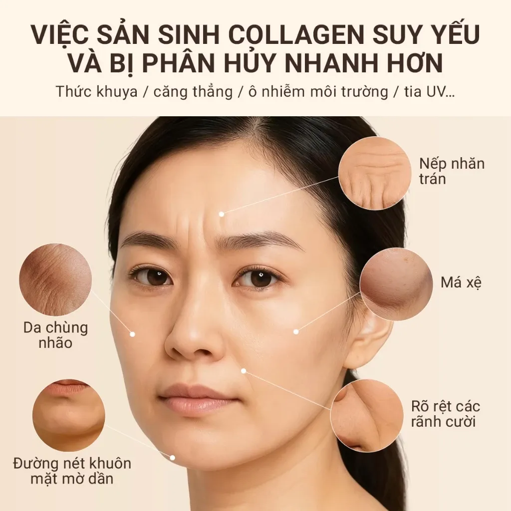 Ảnh thu nhỏ