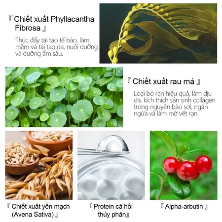 Ảnh thu nhỏ