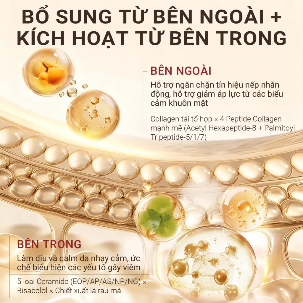 Ảnh thu nhỏ