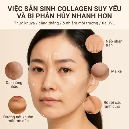 Ảnh thu nhỏ
