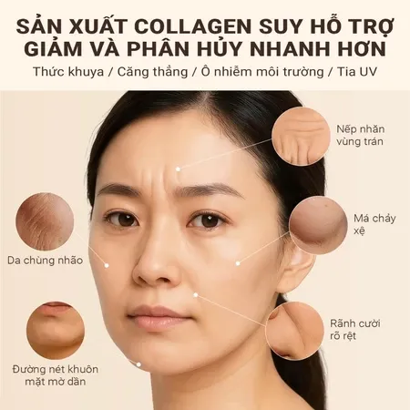 Ảnh thu nhỏ