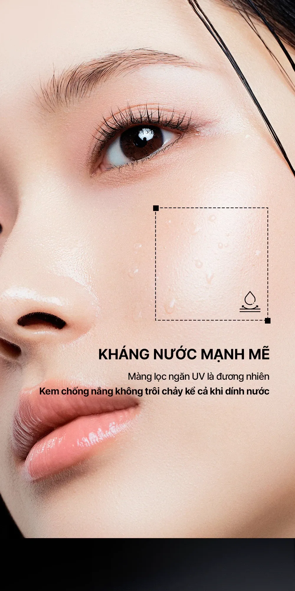 Ảnh thu nhỏ
