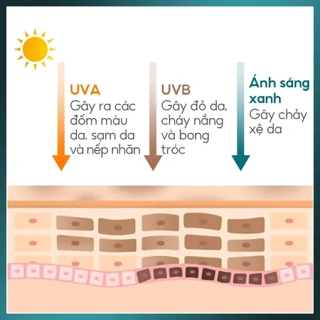 Ảnh thu nhỏ