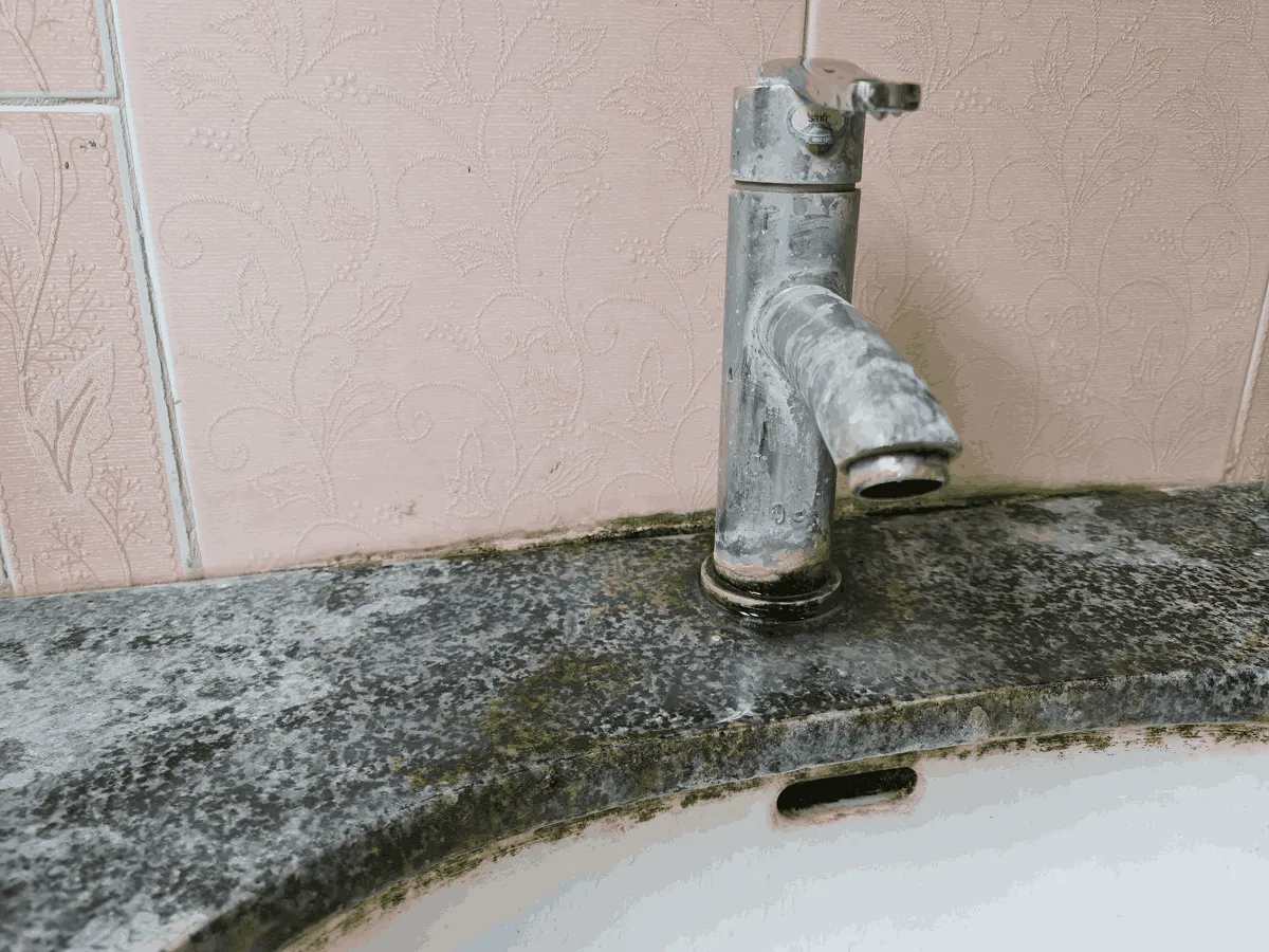 Sau thời gian dài sử dụng trong phòng tắm, đá tự nhiên (granite) bị ố, mốc và mất đi độ bóng nếu không được bảo dưỡng định kỳ