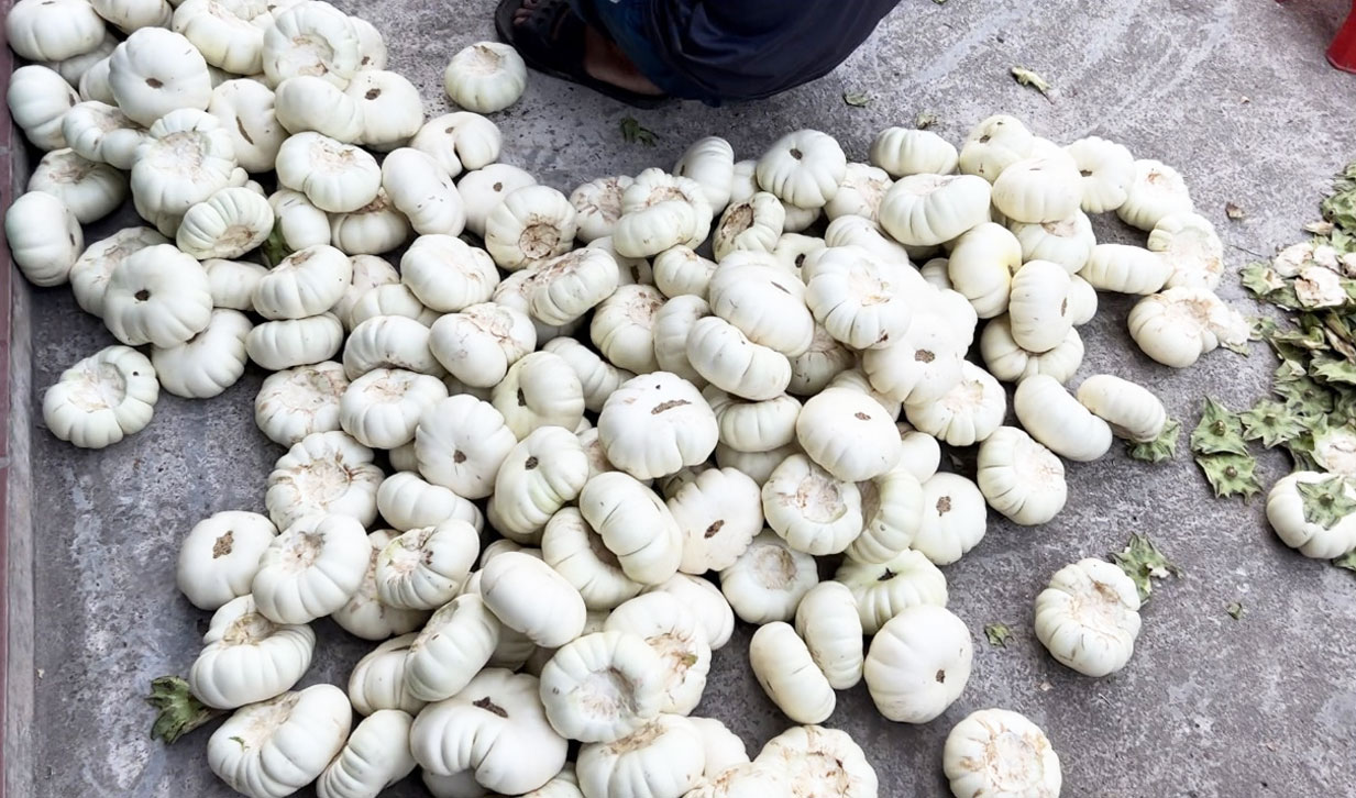 Cà dầm tương giảm mặn ngon không? Tốt cho sức khỏe thế nào?