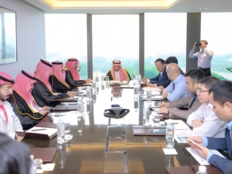 Analyzing the potential for renewable energy cooperation between Vietnam and Saudi Arabia