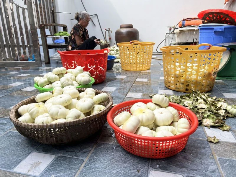 Lịch sử của món cà dầm tương