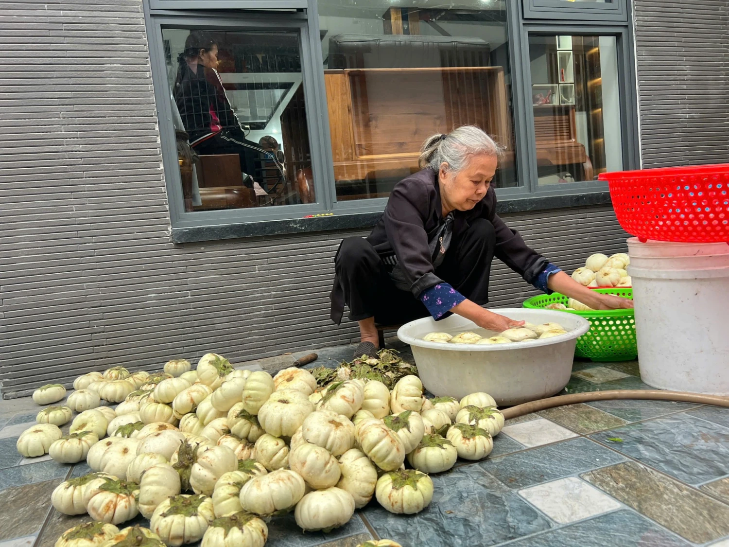 Làm cà dầm tương - Chỉ dùng duy nhất cà bát trắng