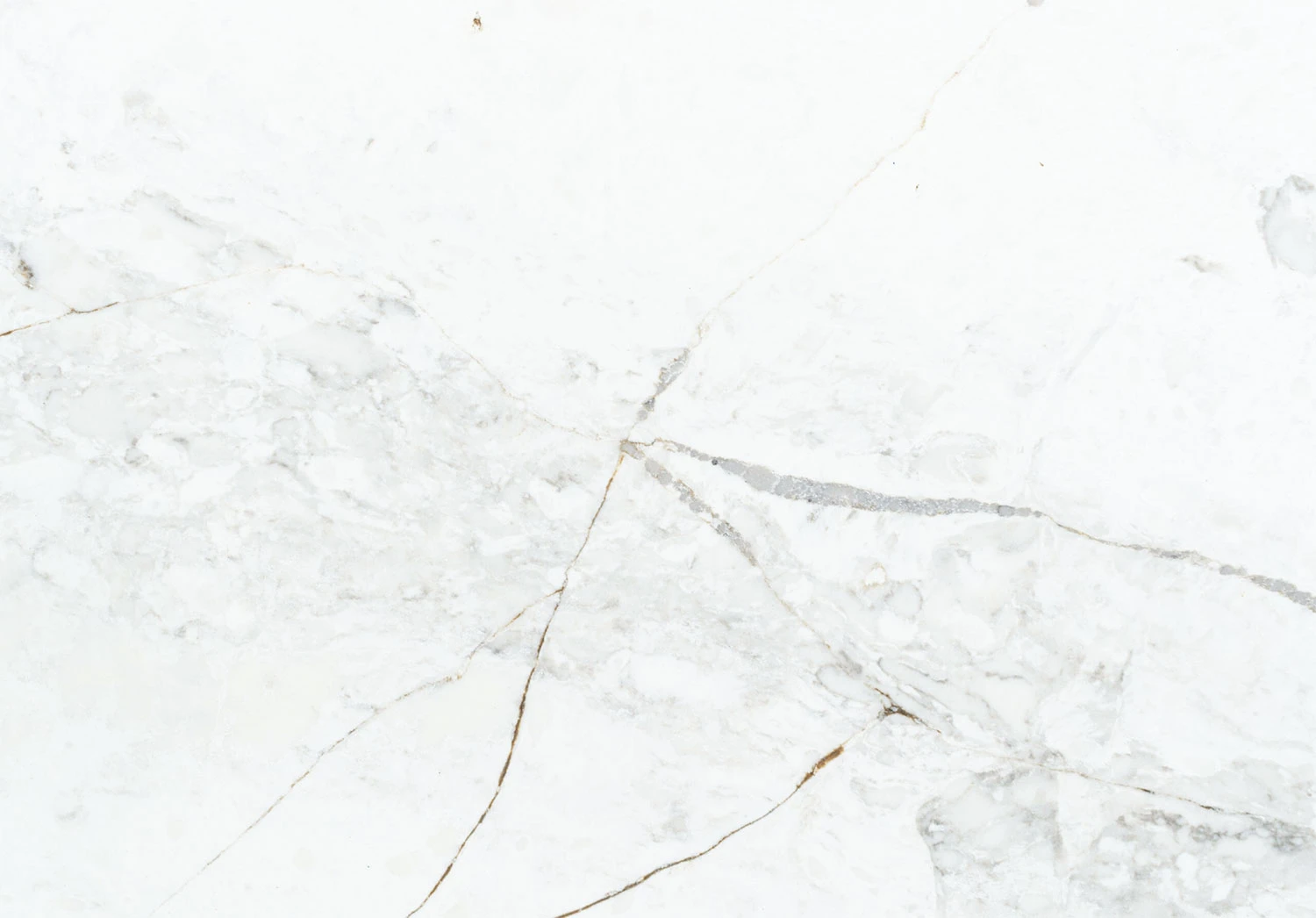 BQ6803 Lacus™