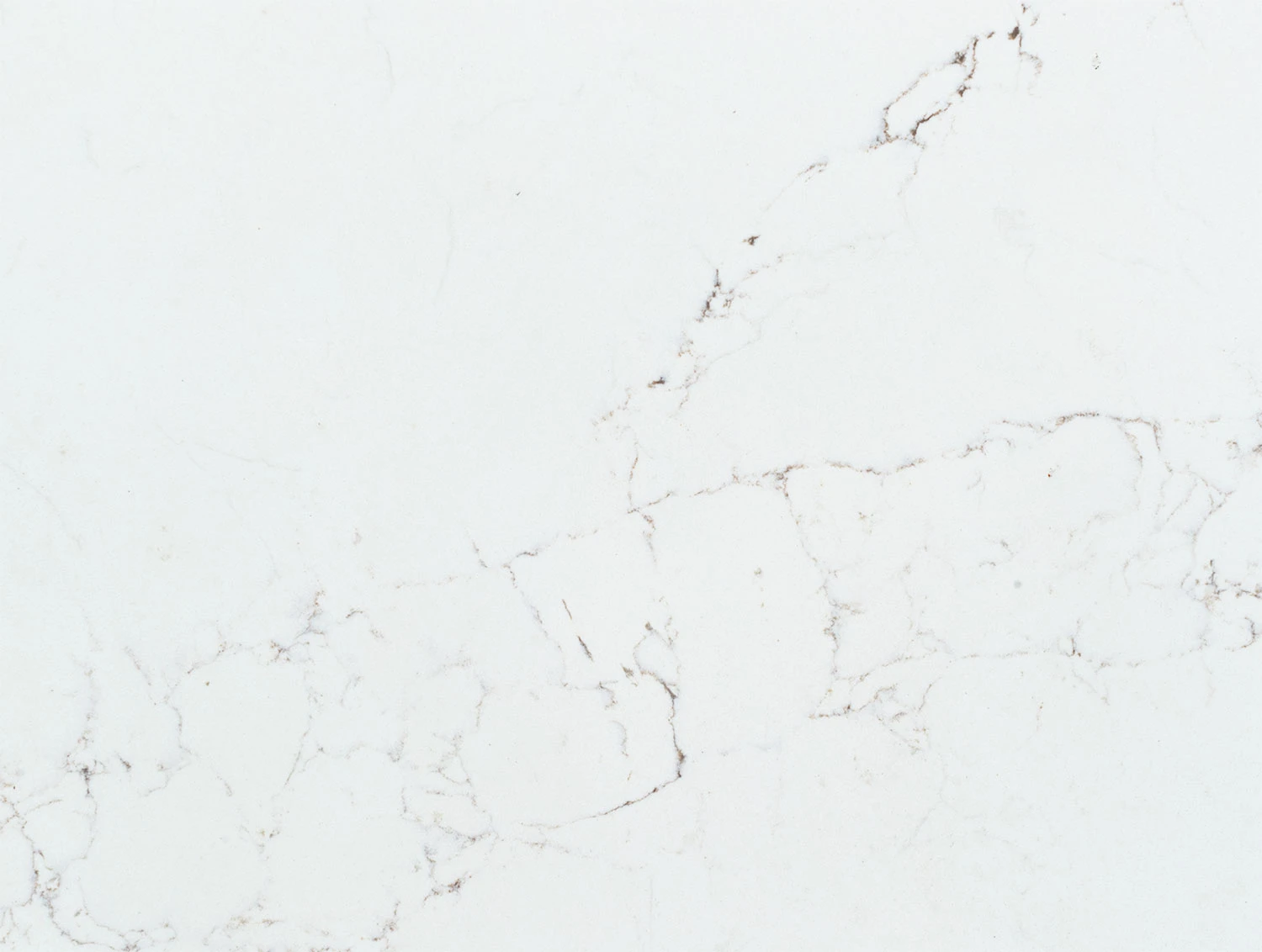 Statuario® BQ8628