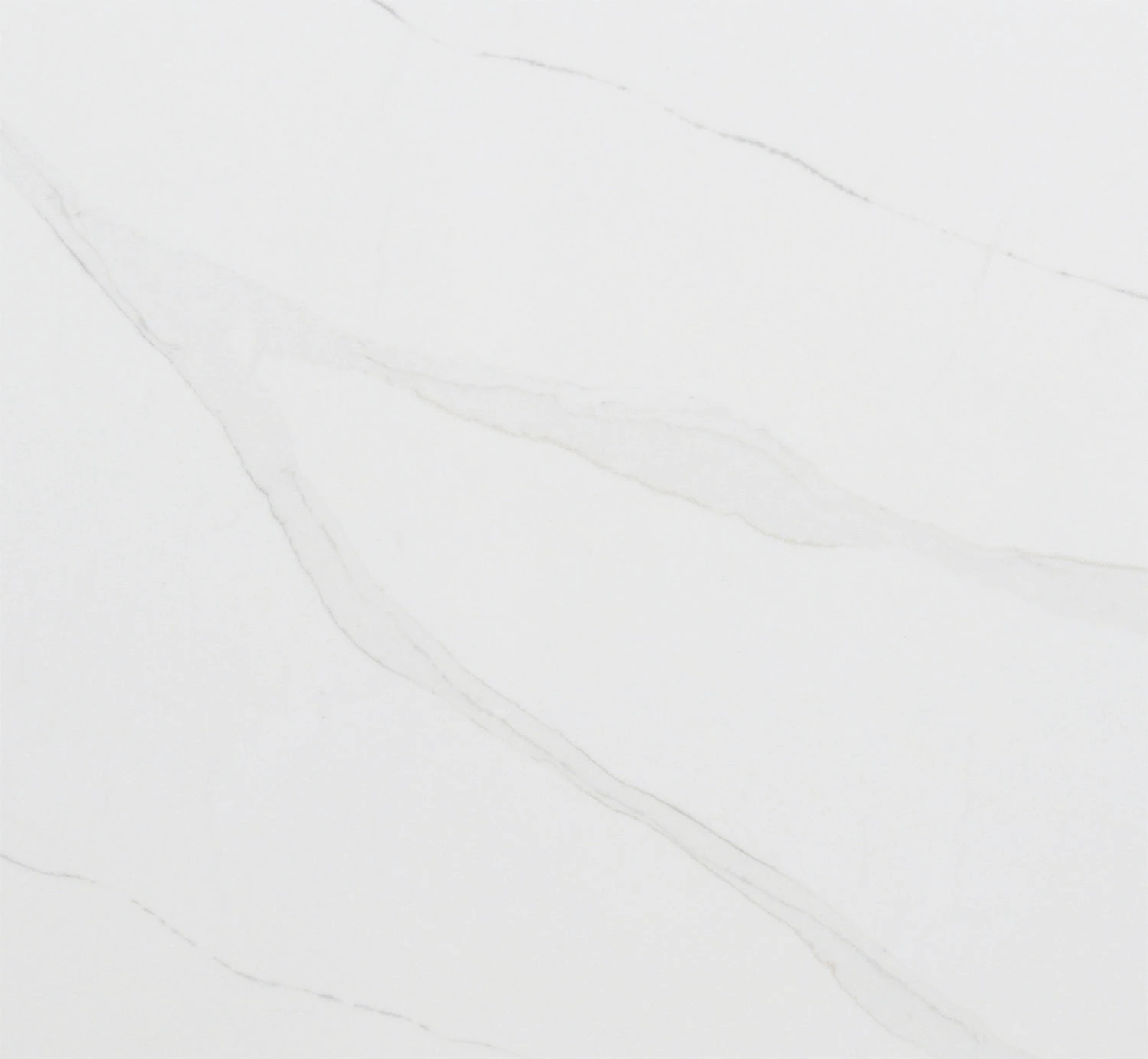 BQ8800 Bettoglio™
