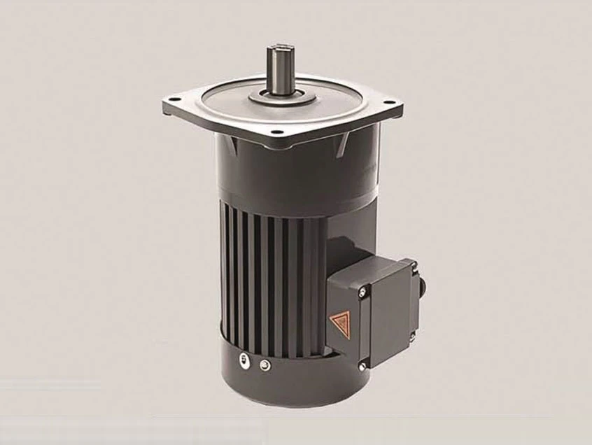 750W-22 Shaft-Key 7 Gear Motor