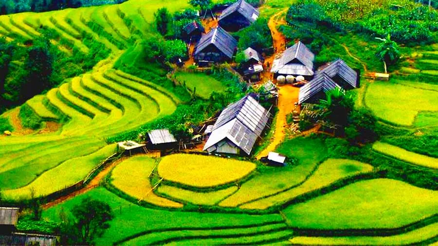 Kinh nghiệm du lịch Sapa cho gia đình vui và an toàn